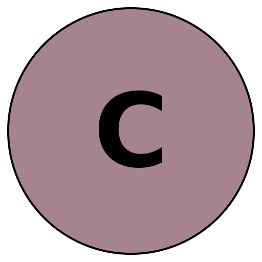 Chicvoyage